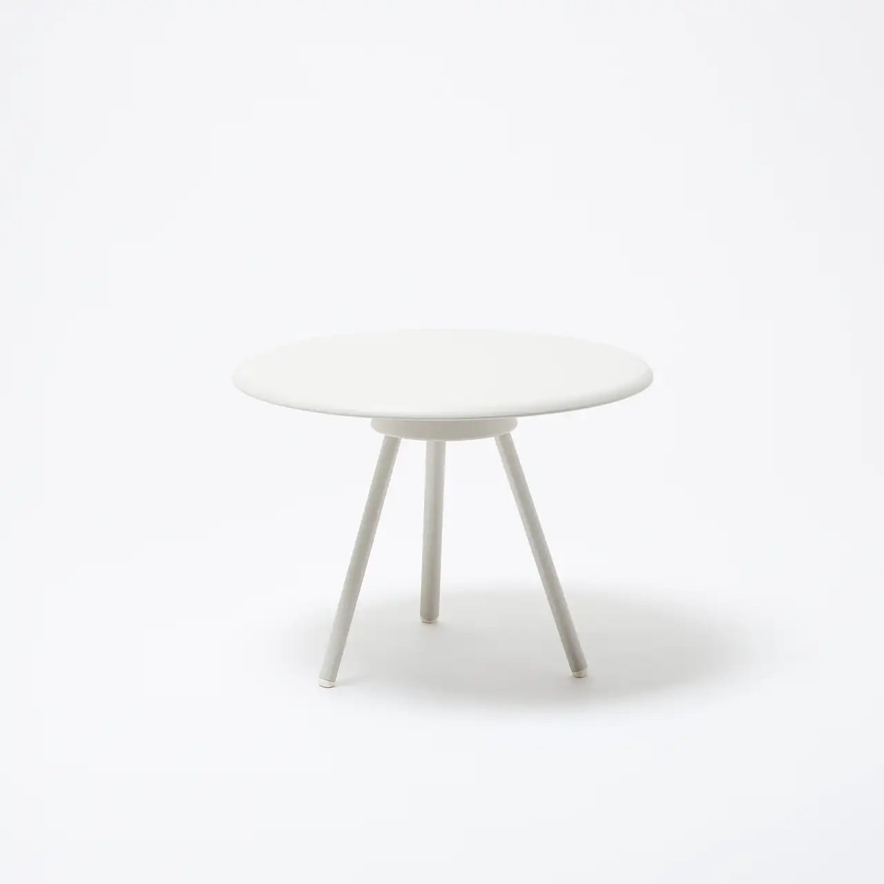 Zebra Round Table