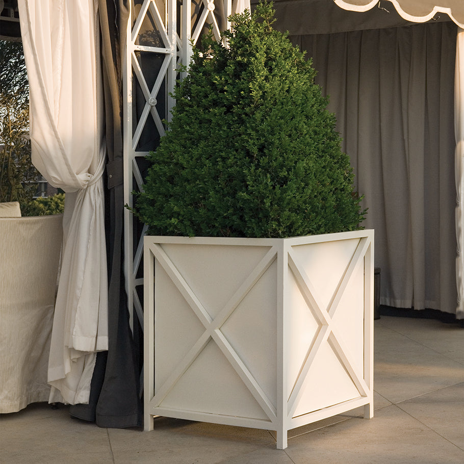 Azimuth Cross Planter