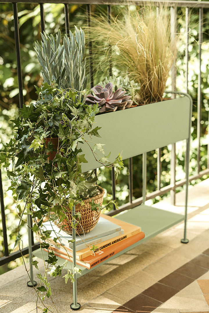 Picolino Plant Holder