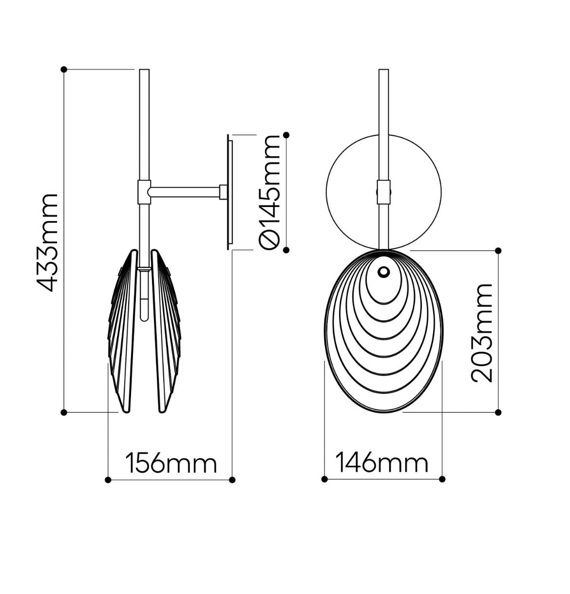 Mussels Wall Light