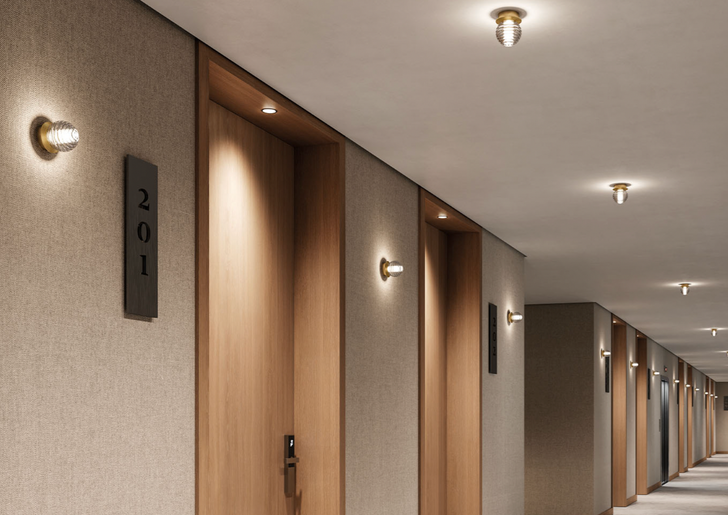 Doul Wall/Ceiling Light