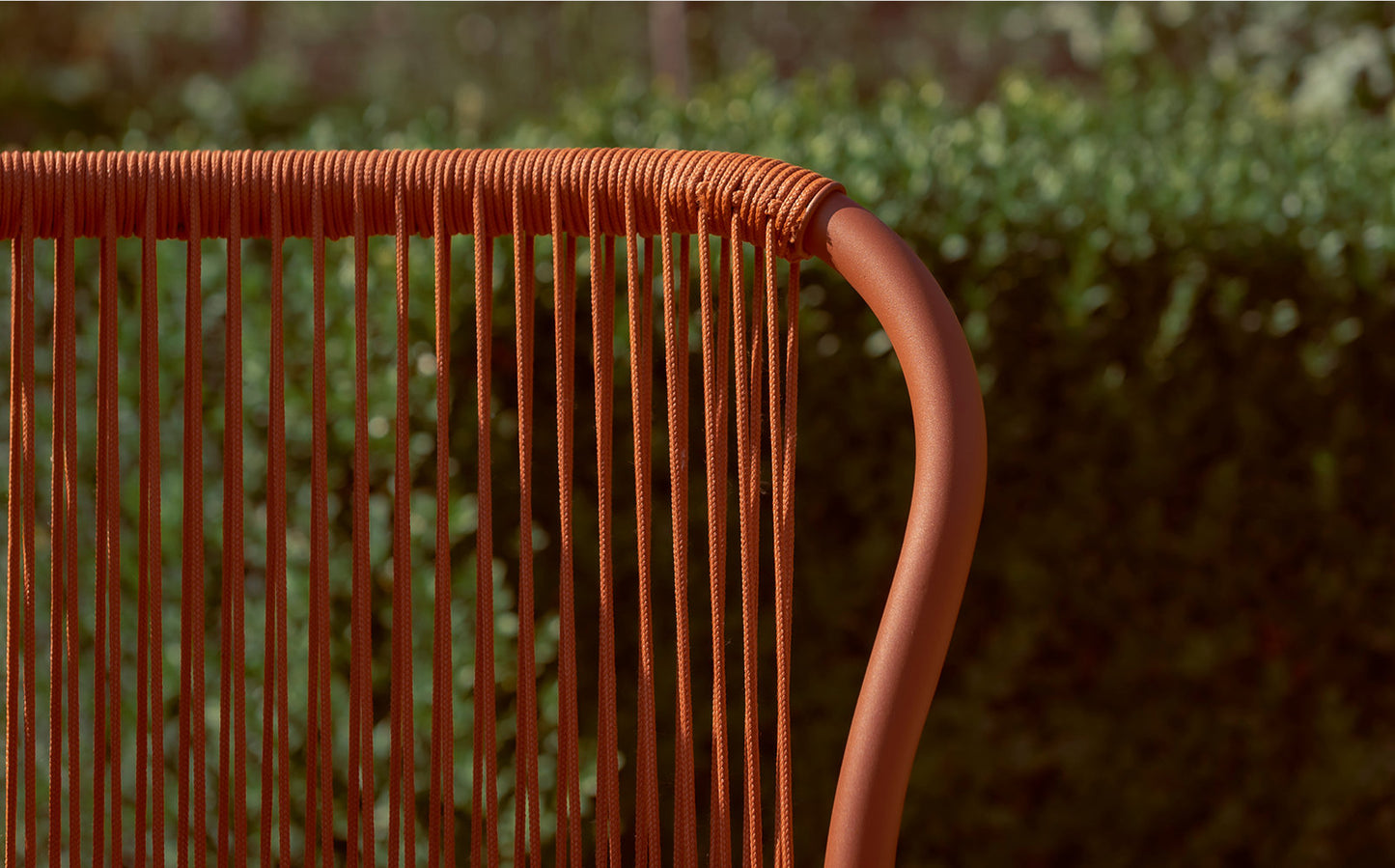 Loop Dining Chair