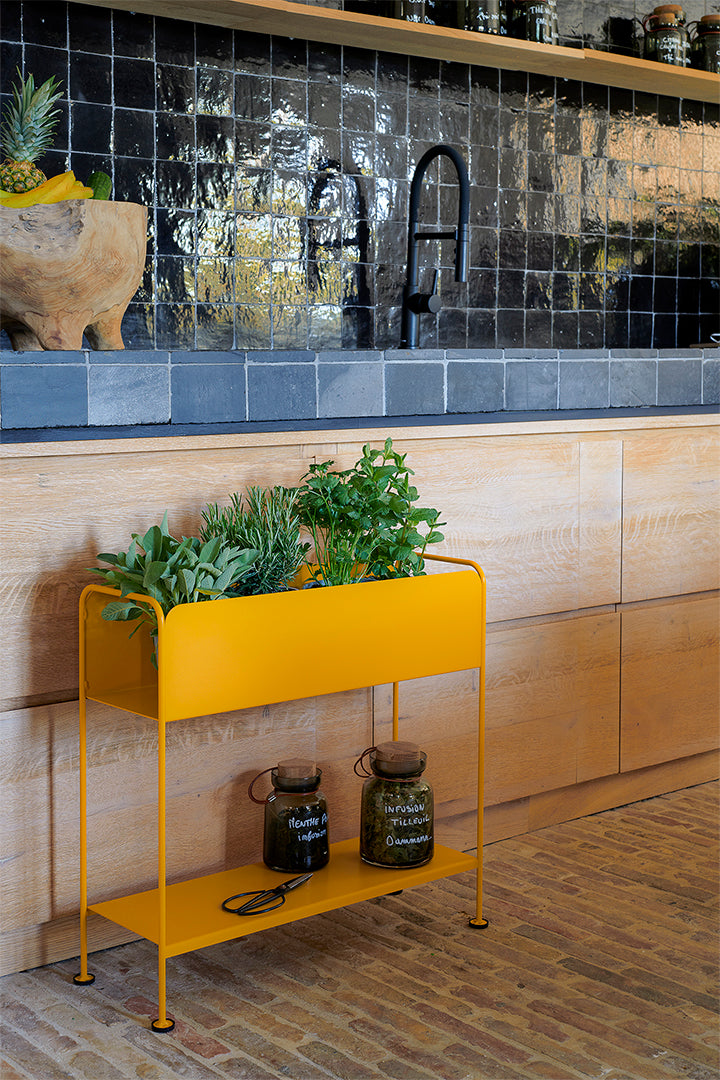 Picolino Plant Holder