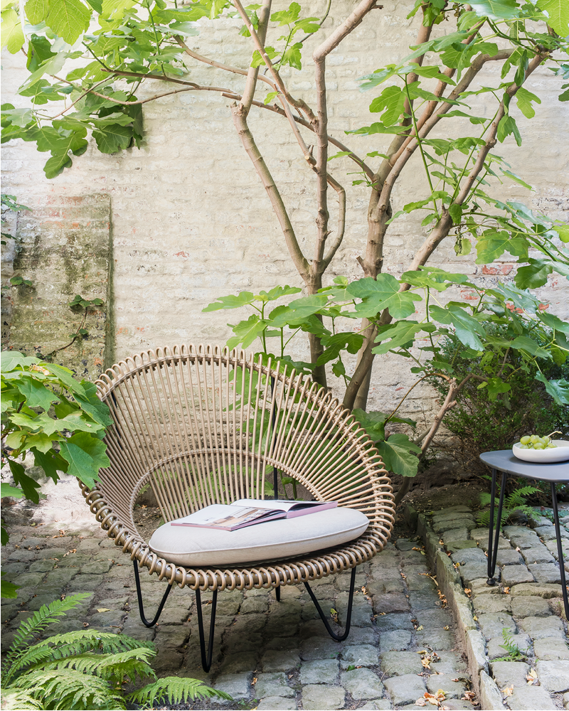 Roy Cocoon Chair