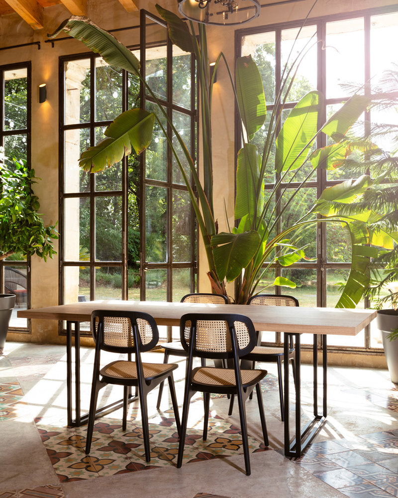 Titus Dining Chair
