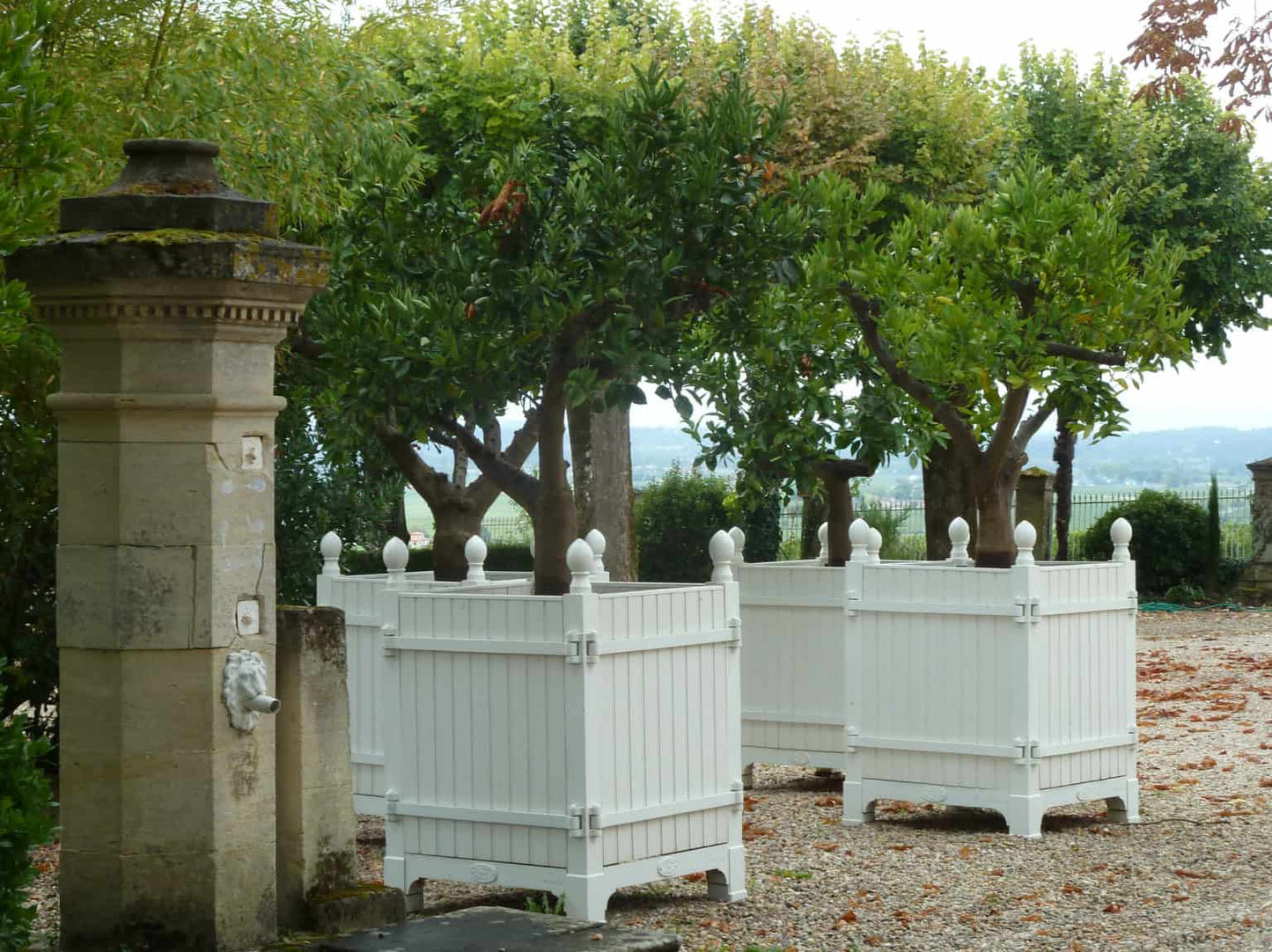 Versailles Citrus Planter