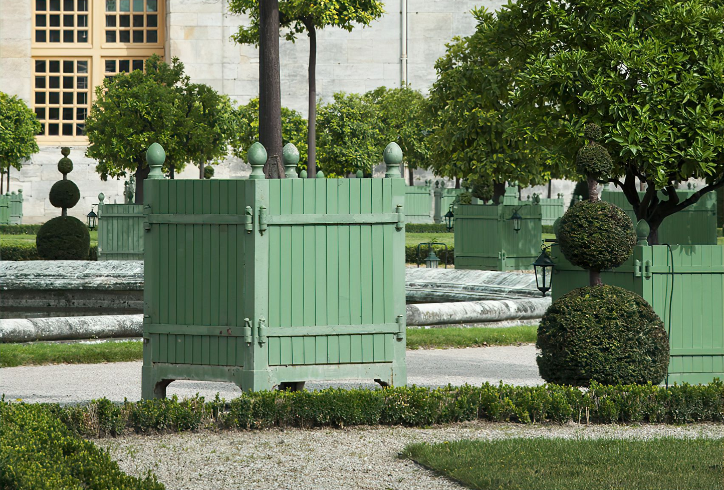 Versailles Citrus Planter