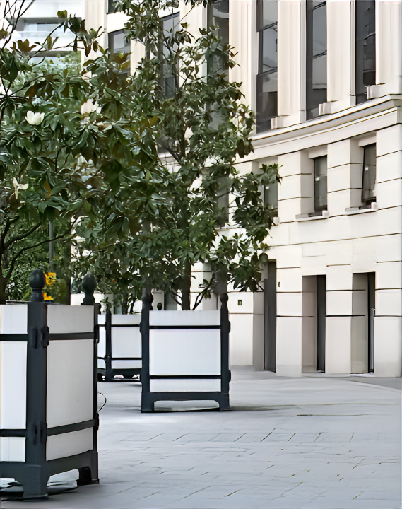 Versailles Citrus Planter