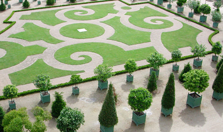 Versailles Citrus Planter