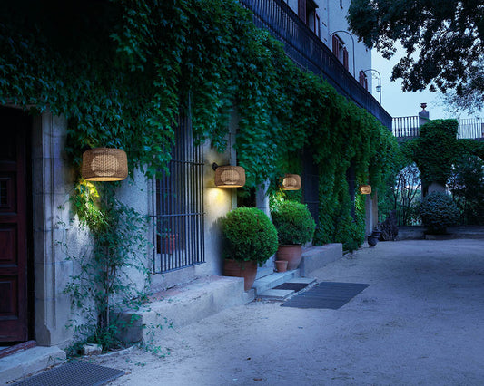 Fora Wall Light