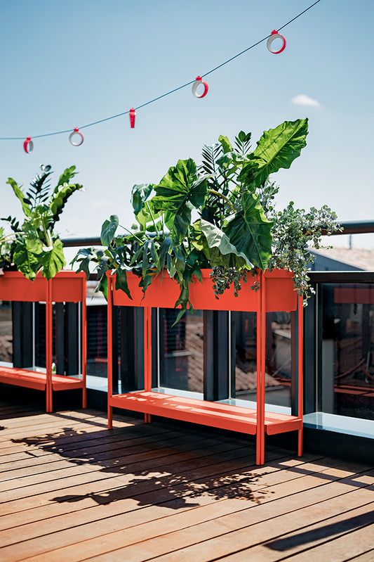 Terrazza Large Planter