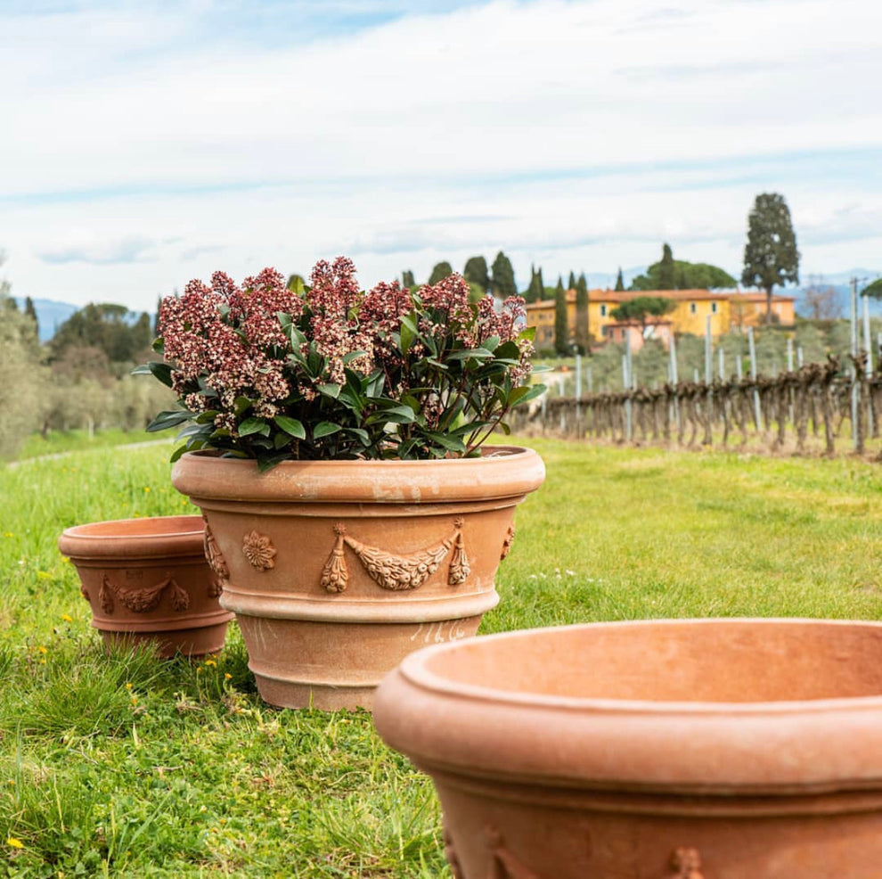 Vaso festonato in plastica - Agro Re'