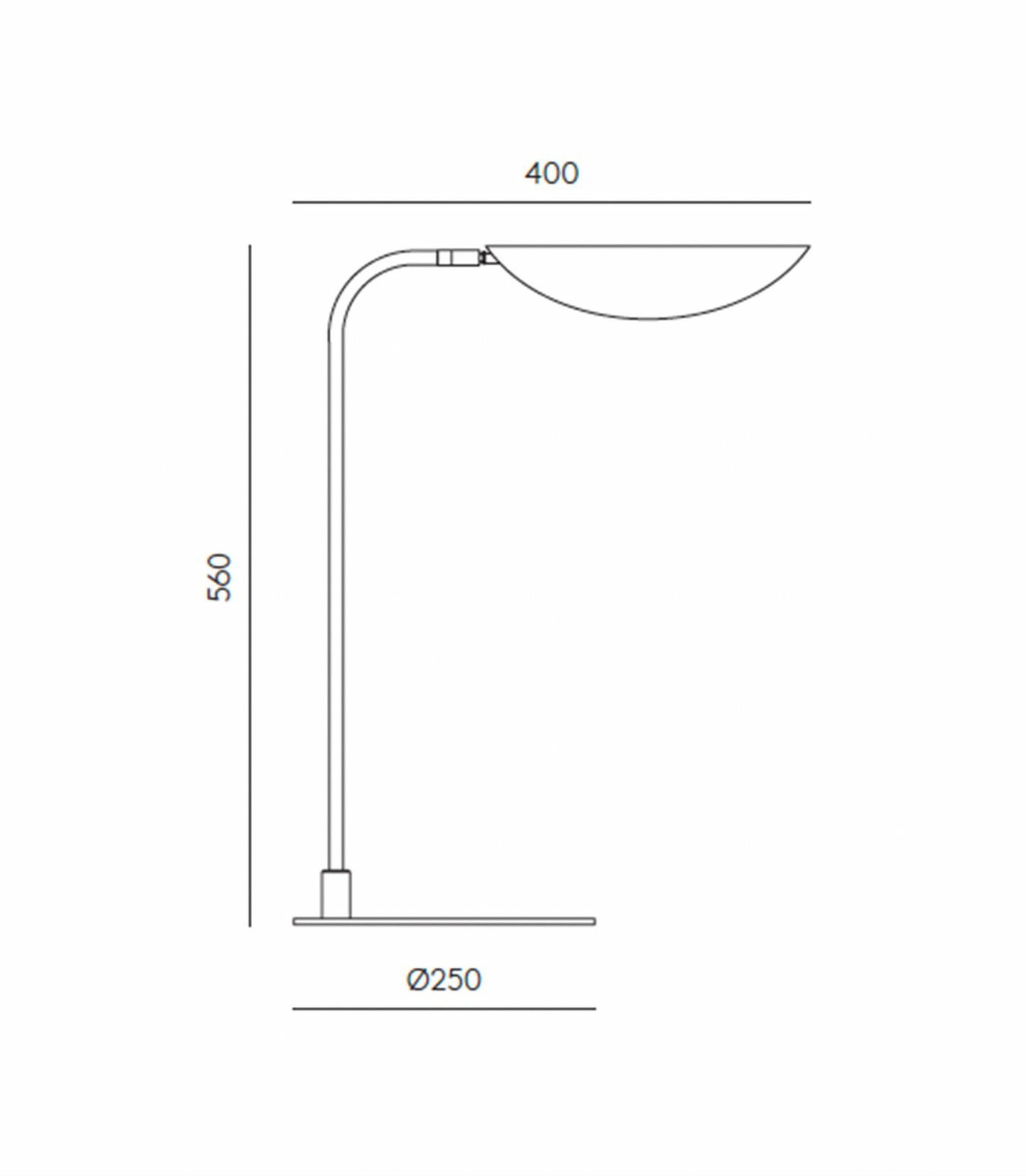 Ficus Table Lamp