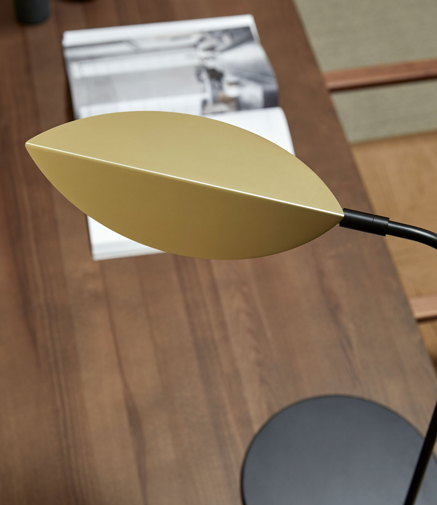 Ficus Table Lamp