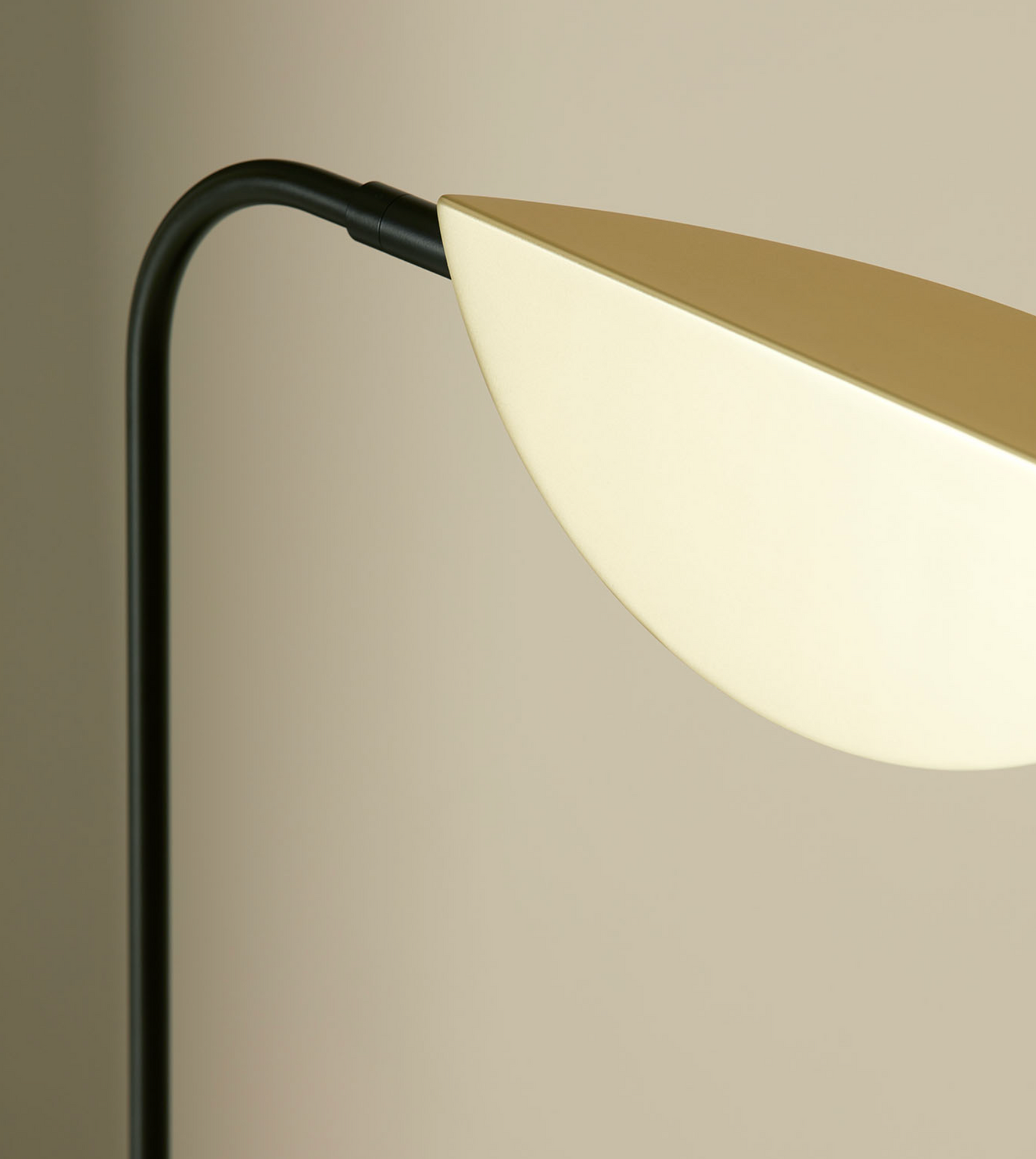 Ficus Table Lamp