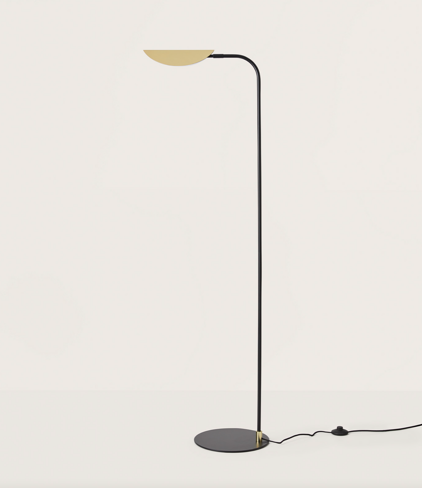 Ficus Floor Lamp