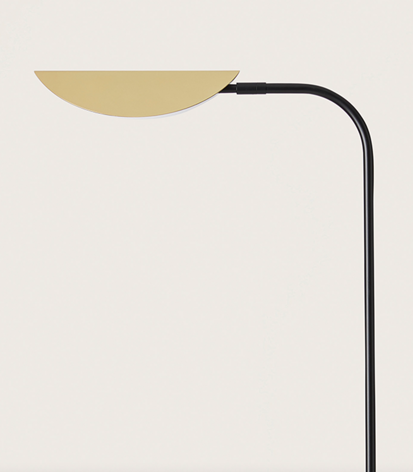Ficus Floor Lamp