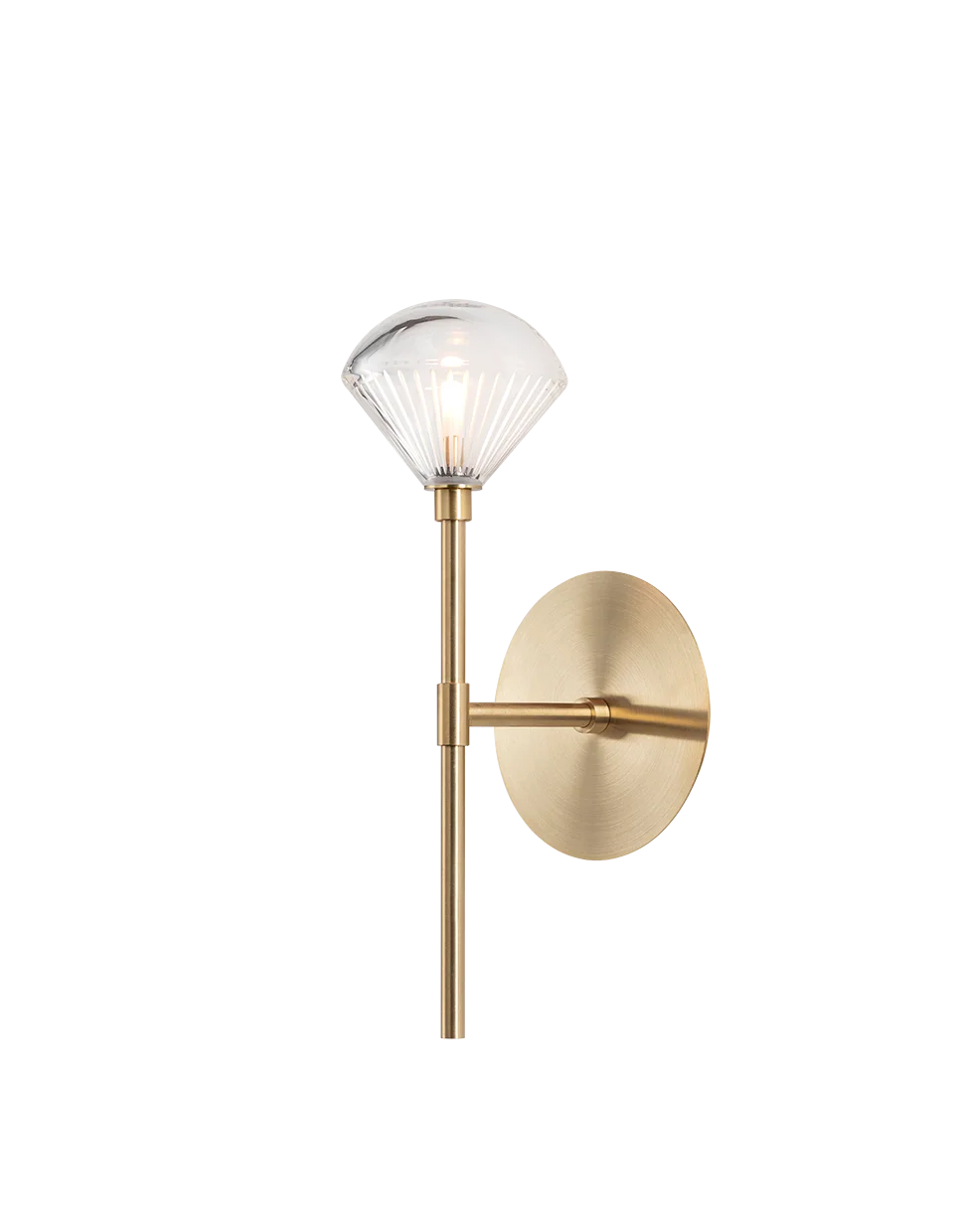 Stellar Dust Wall Light