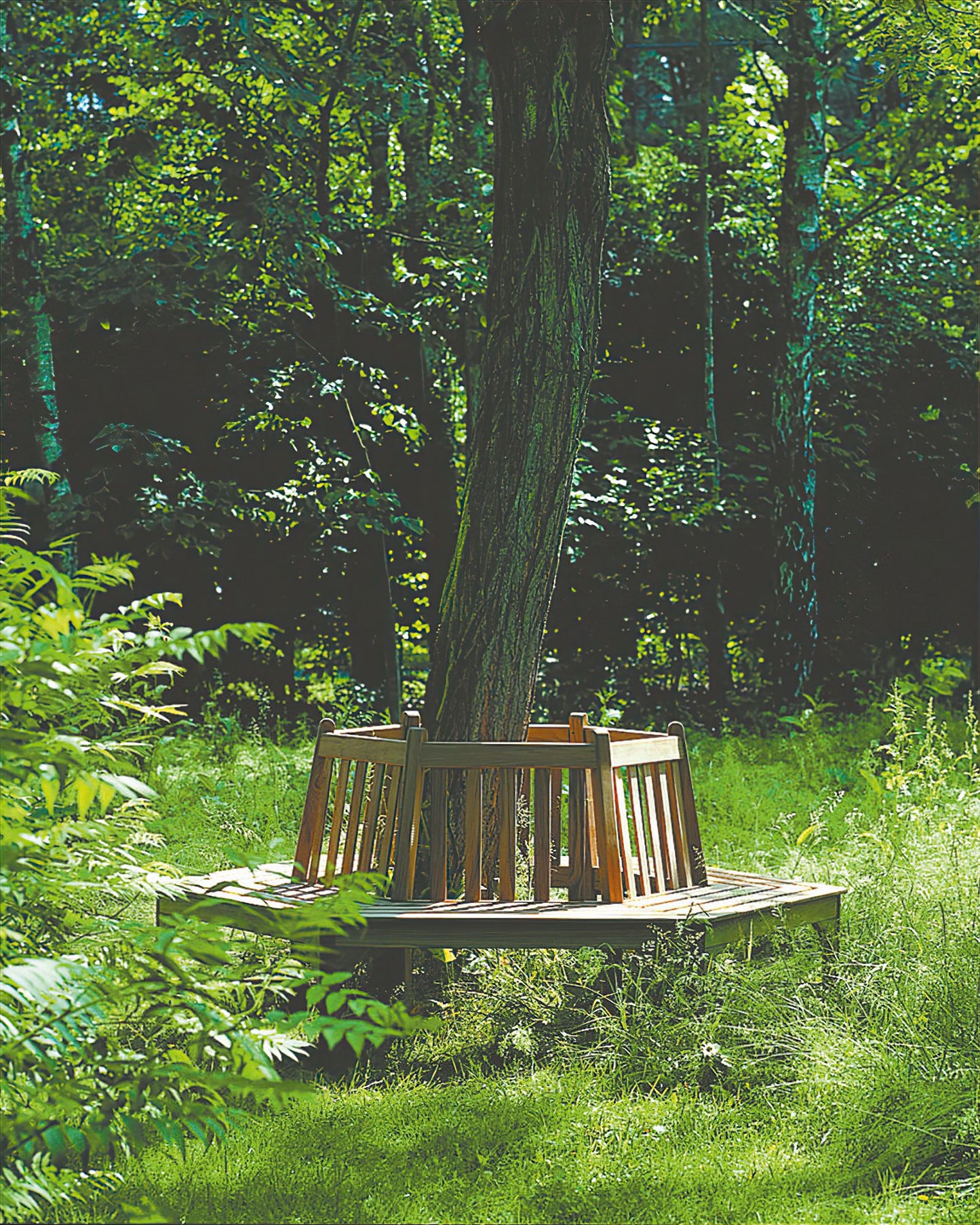 Cotswold Around The Tree Seat