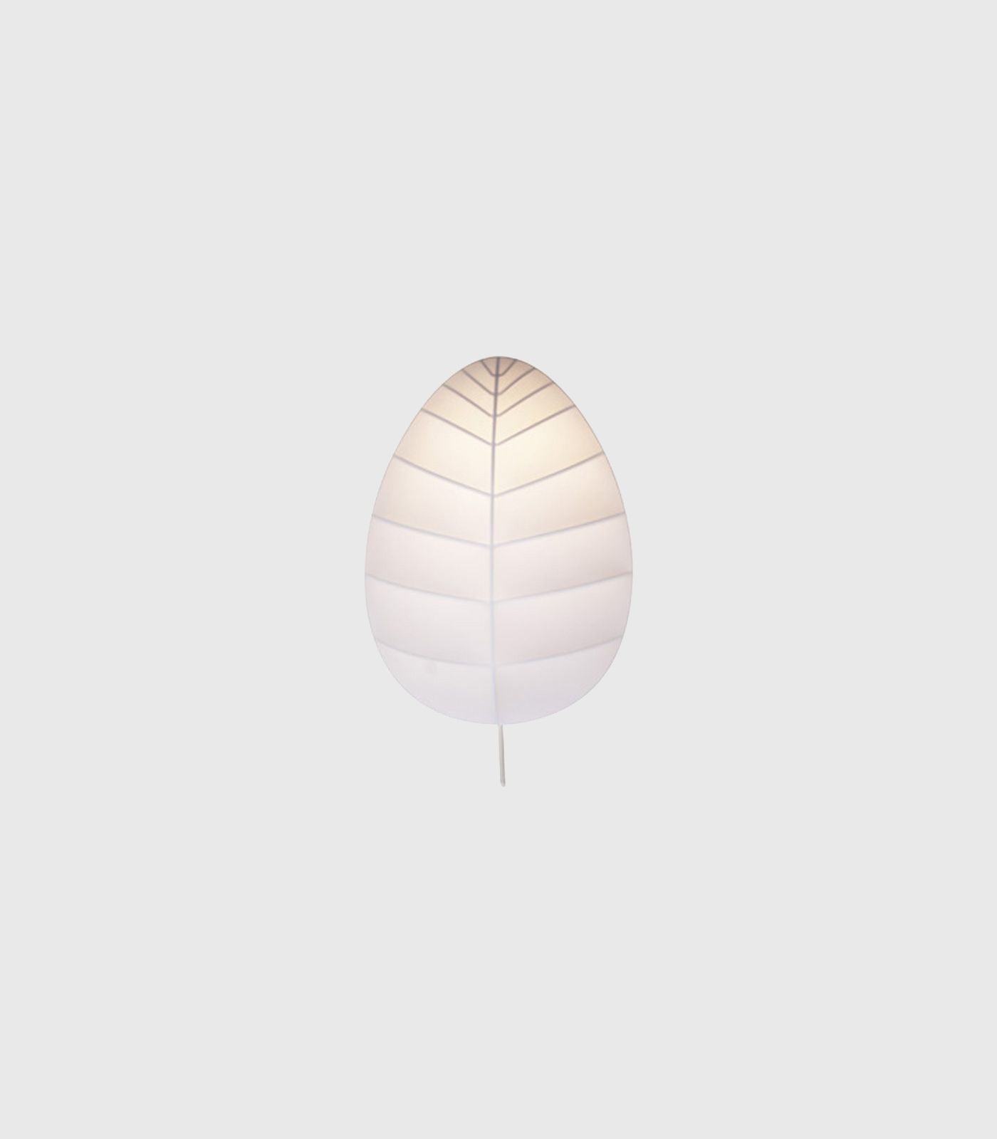 Eden Ceiling/Wall Light