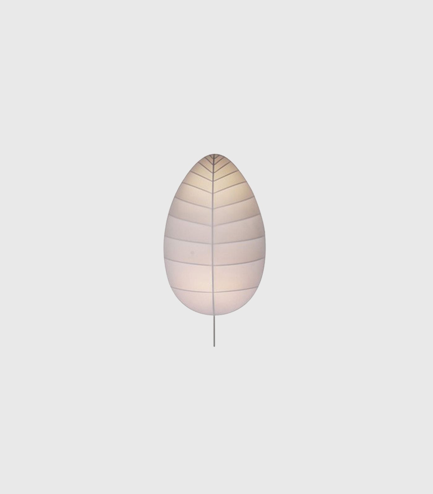 Eden Ceiling/Wall Light