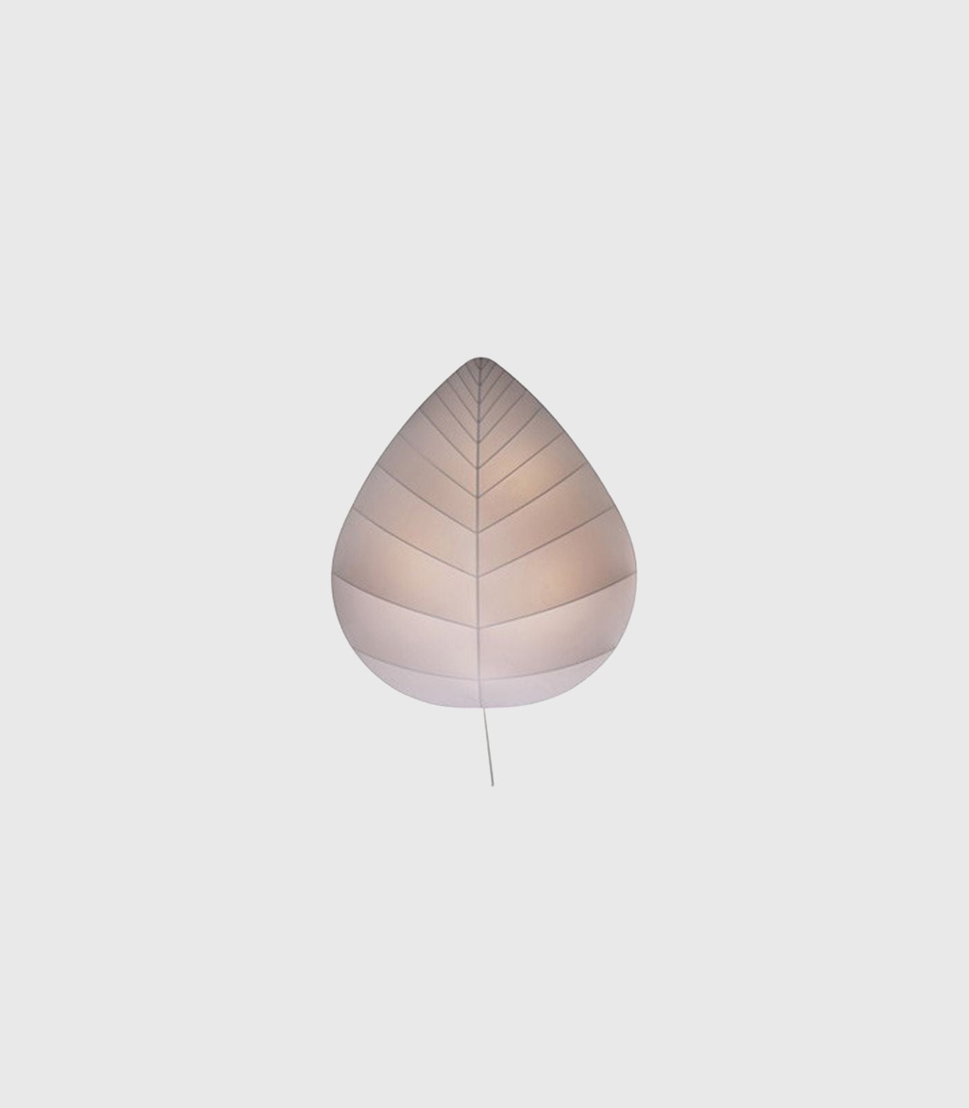Eden Ceiling/Wall Light