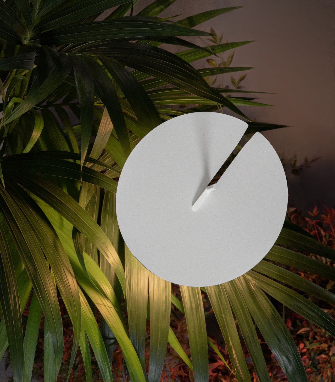 Xana Spike Light