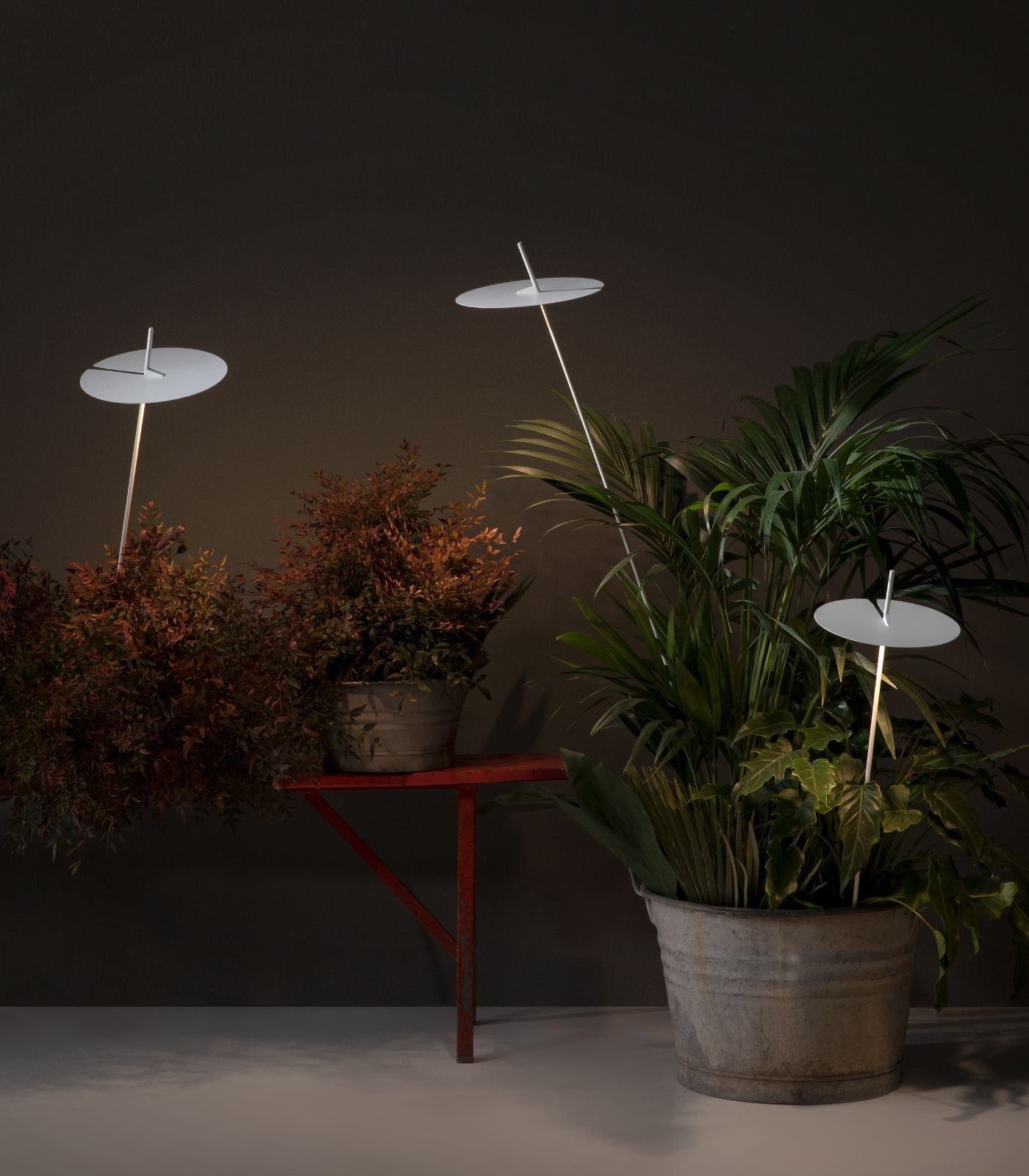 Xana Spike Light