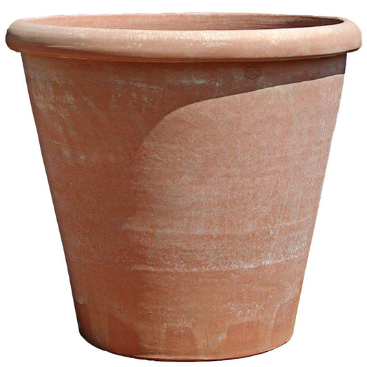 Camelia Terracotta Vase/Pot