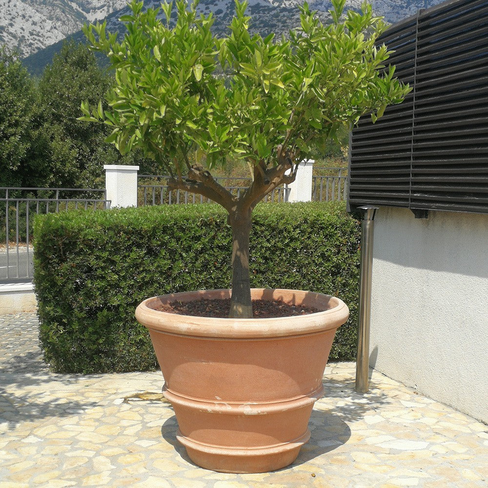 Vaso Con Due Orli Terracotta Pot