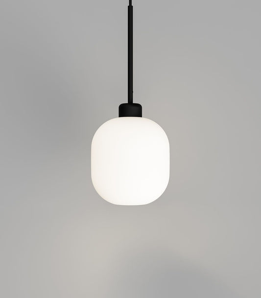 Parlour Lite Curve Pendant Light