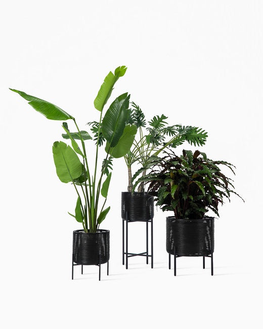 Ivo Plant Stands
