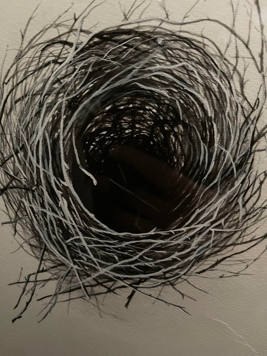 Pencil Drawings Original