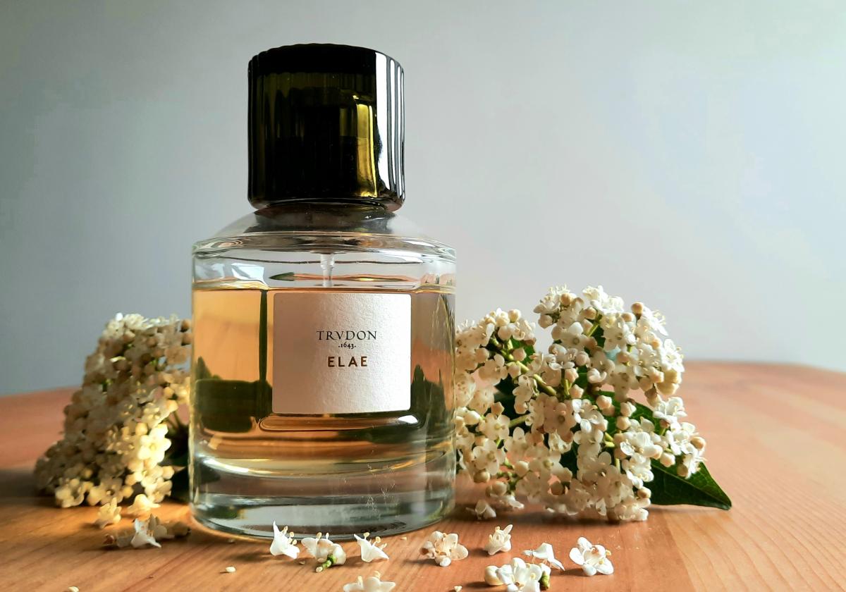 Elae Perfume