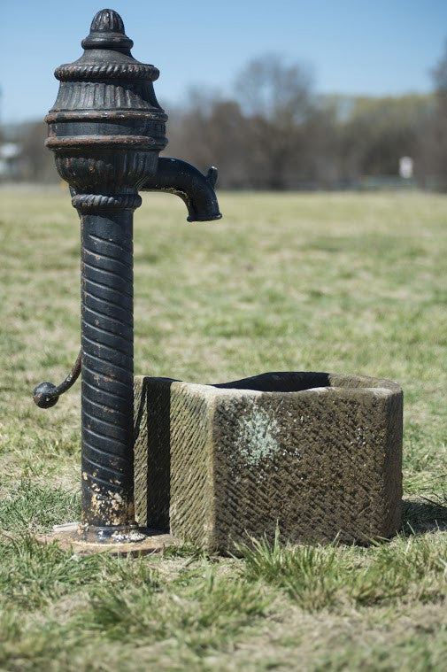 Cast Iron Pump and Stone Trough