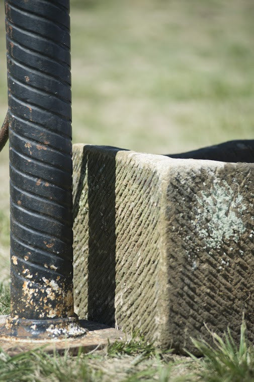 Cast Iron Pump and Stone Trough
