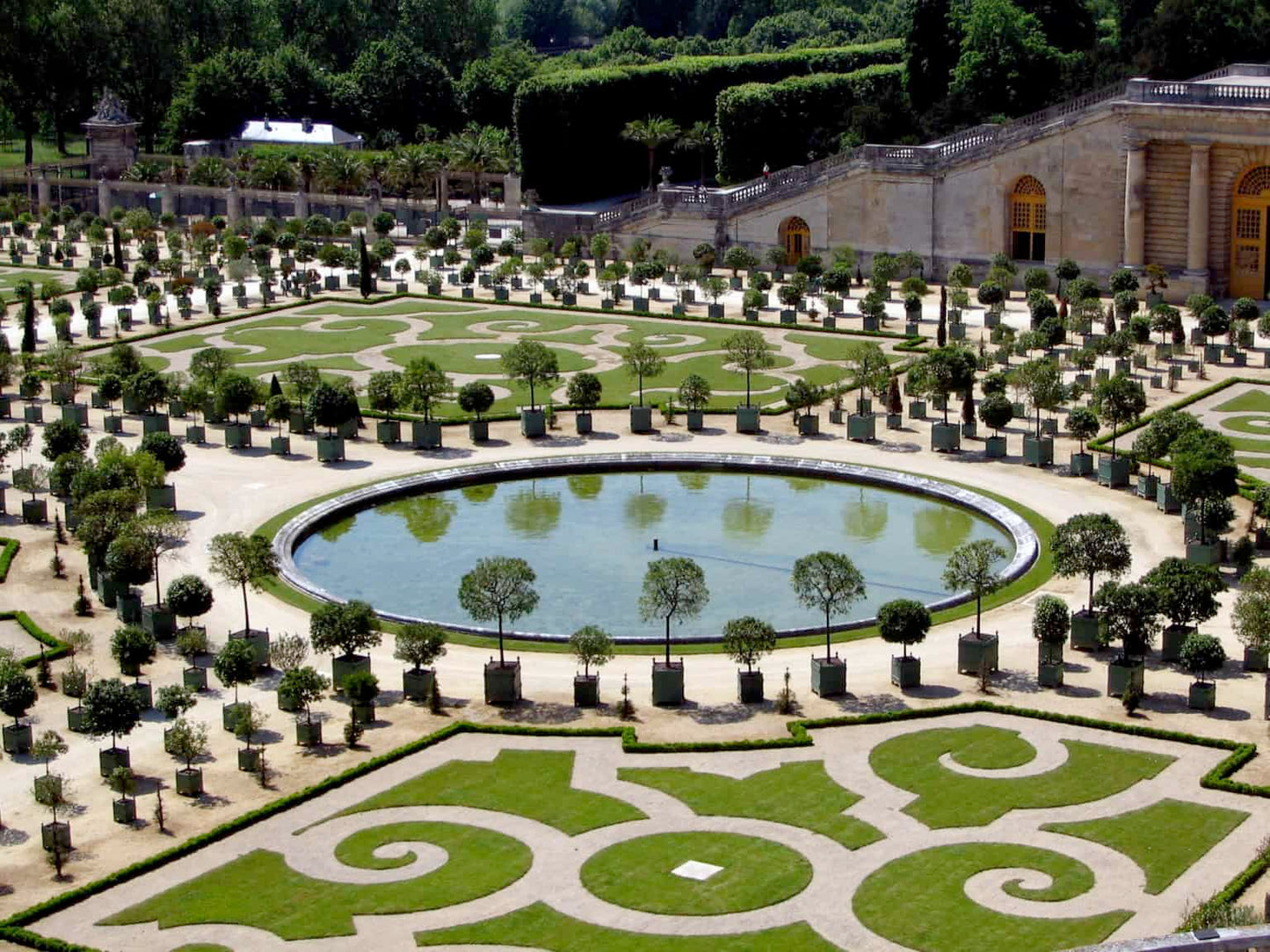 Versailles Citrus Planter