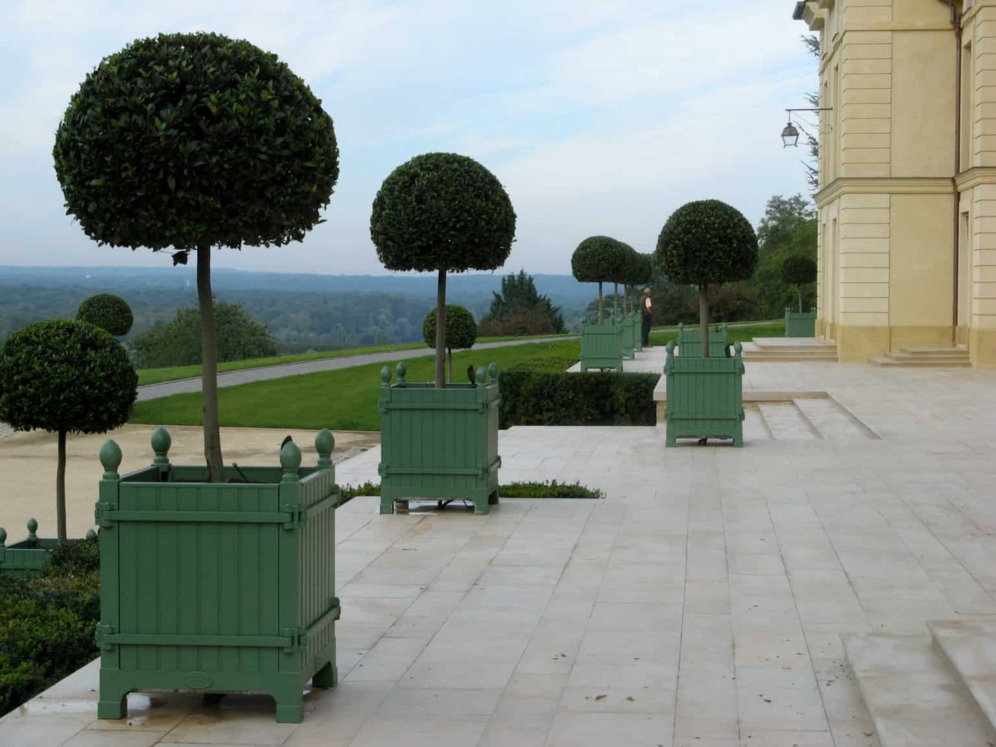 Versailles Citrus Planter