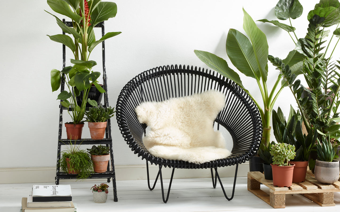 Cruz Cocoon Chair