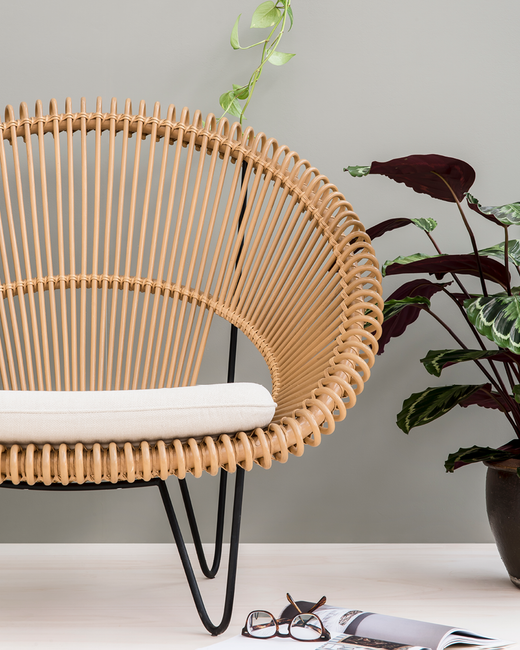 Cruz Cocoon Chair